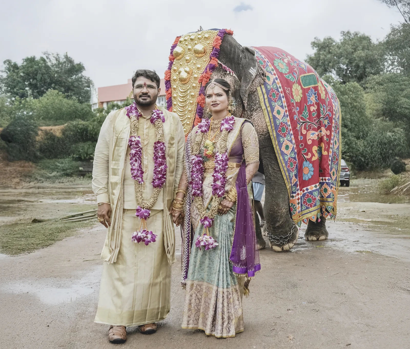 A decorated elephant at a Nigal Weddings function