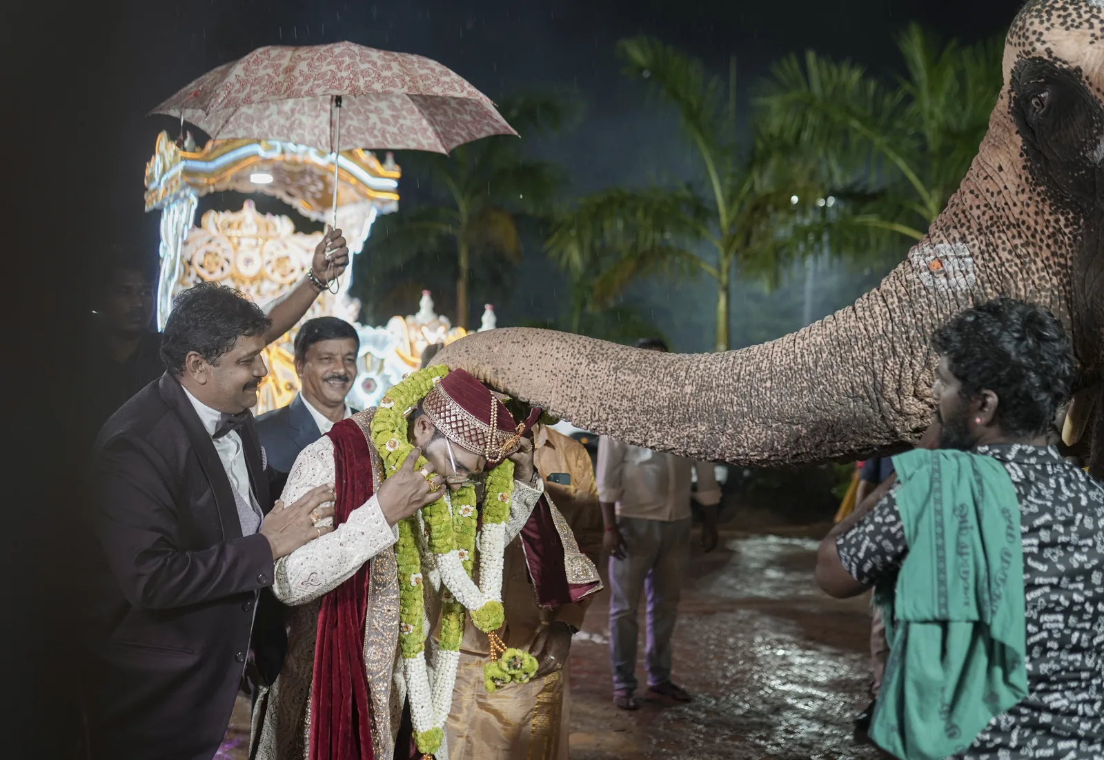 An evening wedding procession with an elephant and ceremonial umbrellas